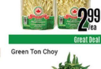 Nations Fresh Foods Green ton choy offer