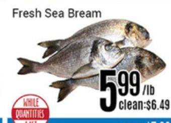 Nations Fresh Foods Fresh sea bream offer