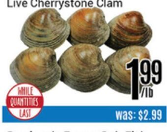 Nations Fresh Foods Live cherrystone clam offer