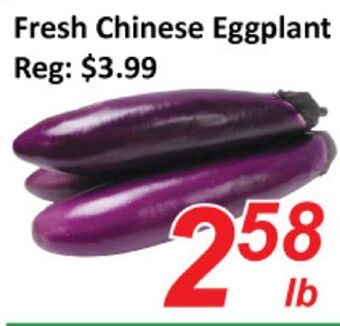 Fresh chinese eggplant