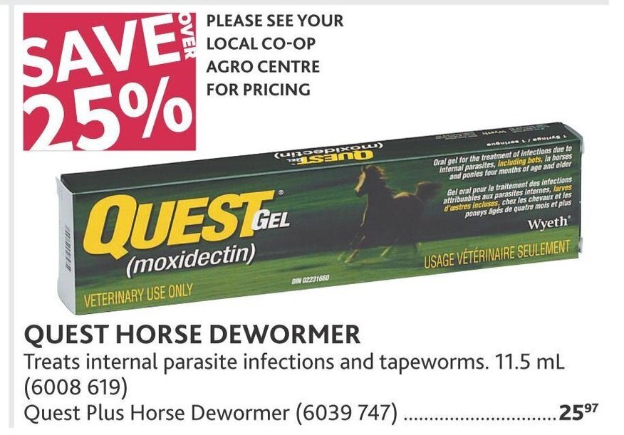 All Horse offers Find and view the cheapest Horse offer!