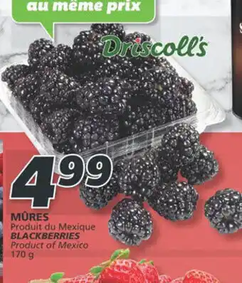 IGA BLACKBERRIES 170 g offer