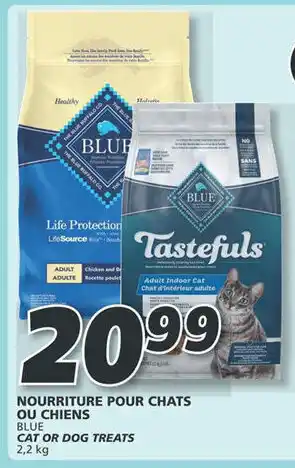 IGA CAT OR DOG TREATS 2,2 kg offer