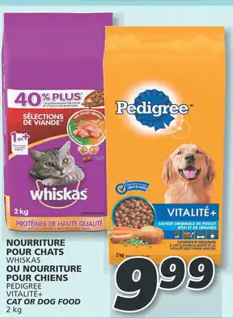 IGA CAT OR DOG FOOD 2 kg offer