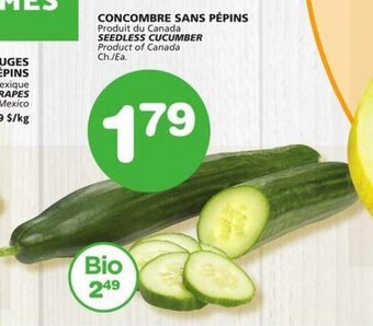 IGA SEEDLESS CUCUMBER offer