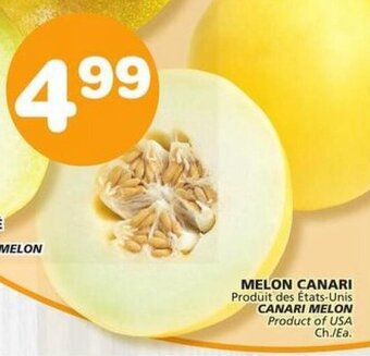 IGA CANARI MELON offer