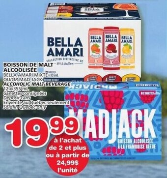 IGA ALCOHOLIC MALT BEVERAGE 12 x 355 mL offer