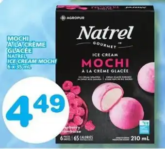 IGA ICE CREAM MOCHI 210 mL offer