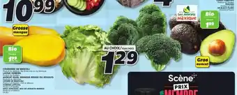 IGA CROWN OF BROCCOLI, ICEBERG LETTUCE, HASS AVOCADO, RED OR ATAULFO MANGO offer