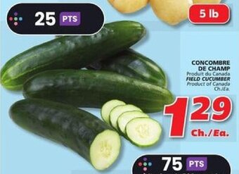 IGA FIELD CUCUMBER offer