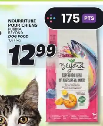 IGA PURINA BEYOND DOG FOOD 1,67 kg offer
