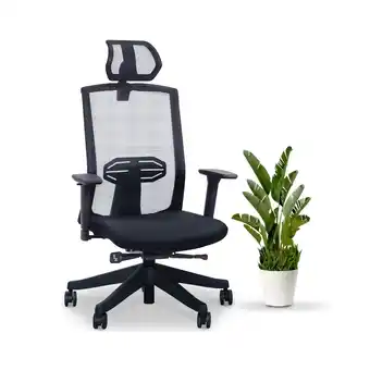 Best Buy Effydesk karmachair best ergonomic office chair with adjustable lumbar-support and mesh back (black) offer