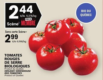 Rachelle-Bery Grocery ORGANIC GREENHOUSE RED TOMATOES offer