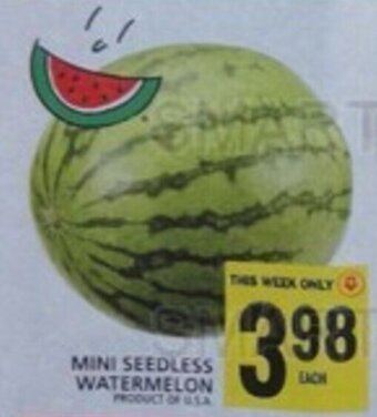 Food Basics MINI SEEDLESS WATERMELON offer