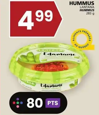 Rachelle-Bery Grocery LANTANA HUMMUS 283 g offer