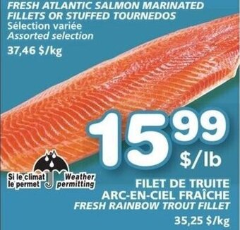 Marches Tradition FRESH RAINBOW TROUT FILLET offer