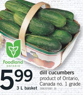 Fortinos Dill cucumbers 3 l basket offer