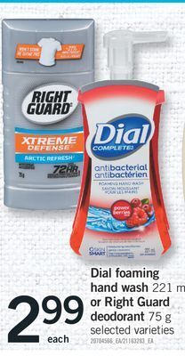 Fortinos Dial foaming hand wash, 221 ml or right guard deodorant, 75 g offer