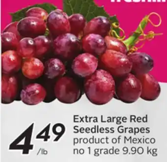 Sobeys Extra large red seedless grapes offer