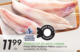 Sobeys Fresh wild haddock fillets offer