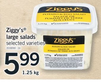 Fortinos Ziggy's® large salads offer
