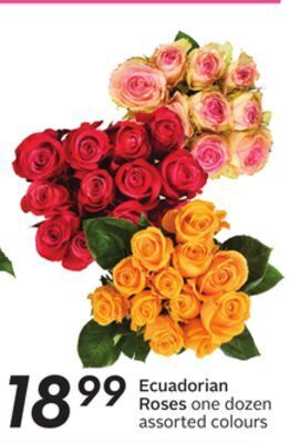 Sobeys Ecuadorian roses offer