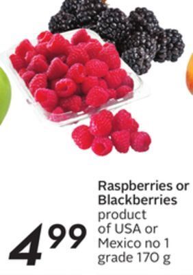 Sobeys Raspberries or blackberries offer