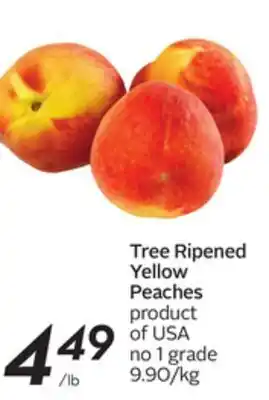 Sobeys Tree ripened yellow peaches offer