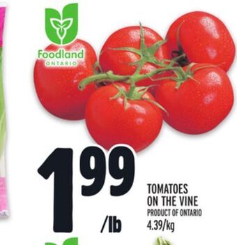 Metro Tomatoes on the vine offer