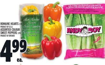 Metro Romaine hearts offer