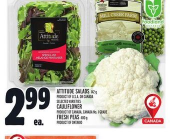 Metro Attitude salads offer