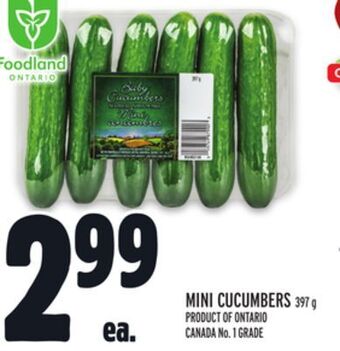 Metro Mini cucumbers offer