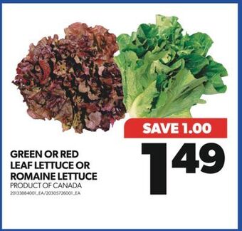 Real Canadian Superstore Green or red leaf lettuce or romaine lettuce offer