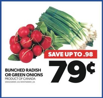 Real Canadian Superstore Bunched radish or green onions offer