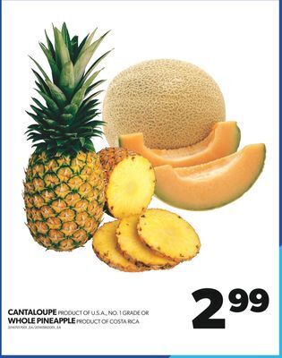 Real Canadian Superstore Cantaloupe or whole pineapple offer
