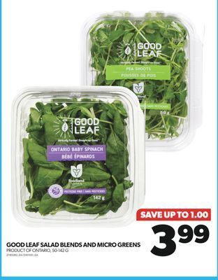 Real Canadian Superstore Good leaf salad blends and micro greens, 50-142 g offer