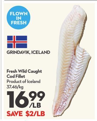Longo's Fresh wild caught cod fillet offer