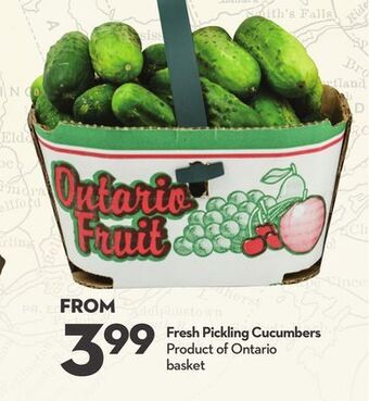 Longo's Fresh pickling cucumbers offer