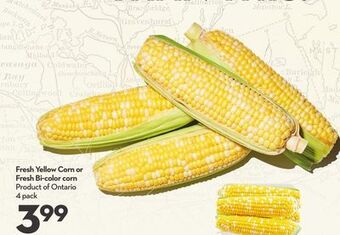 Longo's Fresh yellow corn or fresh bi-color corn offer