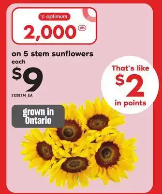 Independent Grocer 5 stem sunflowers offer