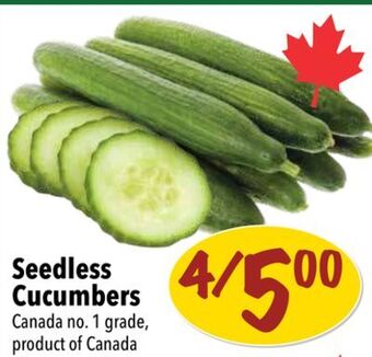 Farm Boy Seedless cucumbers offer