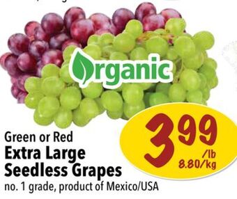 Farm Boy Green or red extra large seedless grapes offer