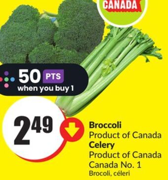 FreshCo Broccoli product of canada celery product of canada no. 1 offer