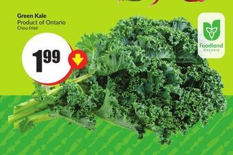 Chalo FreshCo Green kale product of ontario offer
