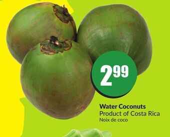 Chalo FreshCo Water coconuts product of costa rica offer