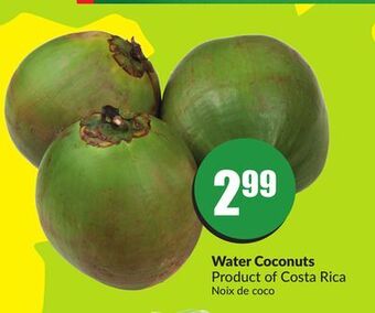 FreshCo Water coconuts product of costa rica offer