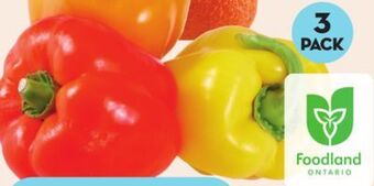 Giant Tiger Rainbow peppers offer