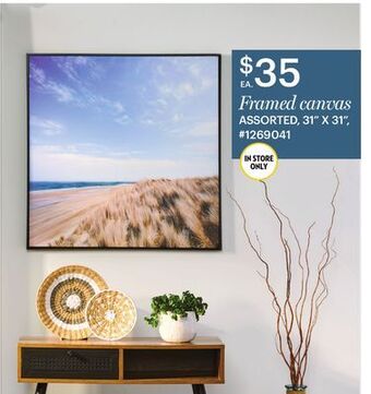 Giant Tiger Framed canvas offer