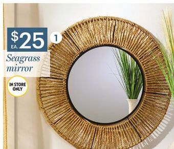 Giant Tiger Seagrass mirror offer