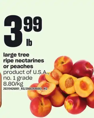 Zehrs Markets Large tree ripe nectarines or peaches offer